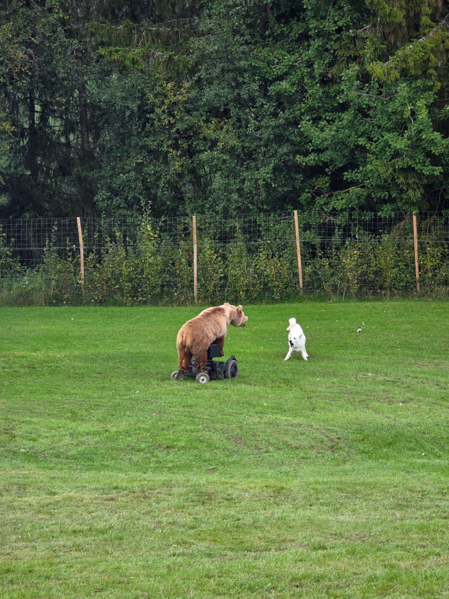 Foto: Ellen Grambo Senderud